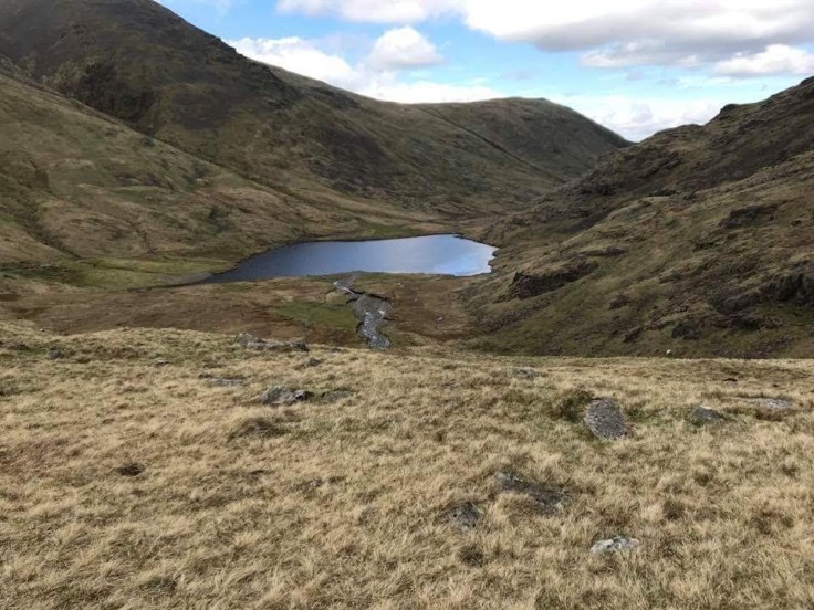 FB_IMG_1524949335599